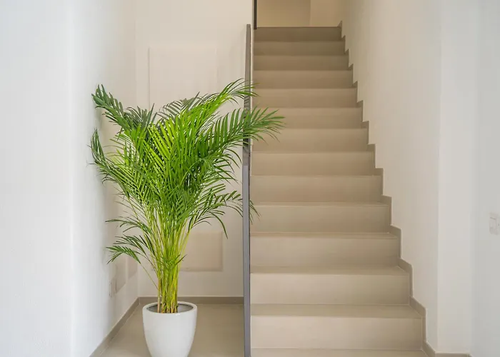 Nuova -luxury & Apartment- Olbia